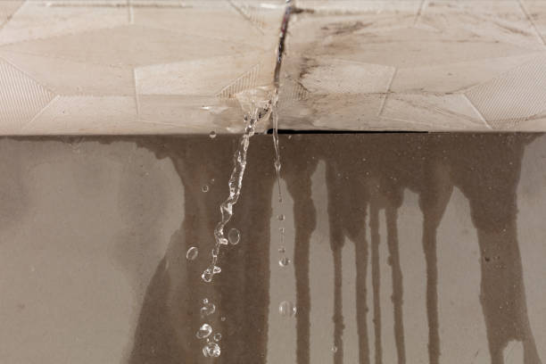 Professional Flood Damage Cleanup technician working in South Elgin, IL